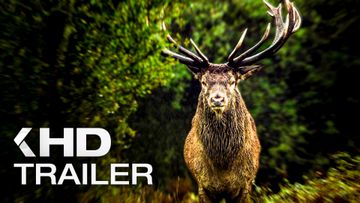 Bild zu WILDES LAND: Die Rückkehr der Natur Trailer German Deutsch (2024)