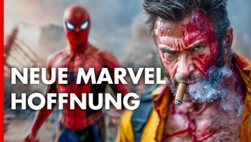 Bild zu Die Zukunft des MCU