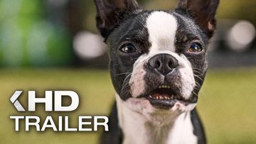 Bild zu DOGGY STYLE Trailer German Deutsch (2023)