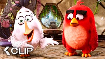 Image of Red y sus nuevos Amigos del Curso Antiagresión - ANGRY BIRDS: La película Clip