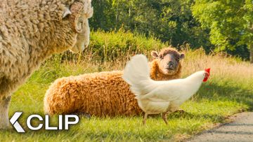 Image of “We're Not Scared of the Road” - THE SHEEP DETECTIVES Clip