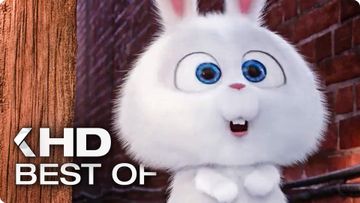 Image of Best of Snowball (2016) The Secret Life of Pets