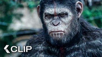 Image of Apes Don't Want War! Movie Clip - Dawn of the Planet of the Apes (2014)
