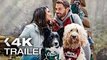 Bild zu Hunde sind die besten Kuppler! - FINDING CHRISTMAS LOVE: Mitten ins Herz Trailer (2026) Exklusiv