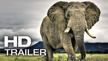 Bild zu AFRICAN SAFARI 3D Trailer Deutsch German | 2013 Official Film [HD]