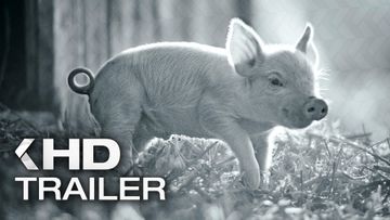 Bild zu GUNDA Trailer German Deutsch (2021)