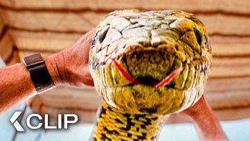 Image of La Escena de la Anaconda acaba con la Serpiente Cortada en Pedazos - ANACONDA Clip