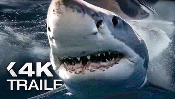 Image of CHUM Trailer (2026)