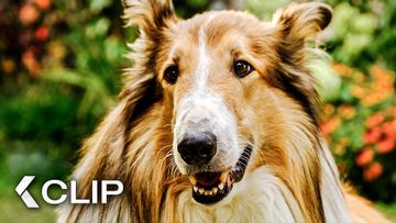 Bild zu Lassie rettet die entführten Kinder! - LASSIE: Ein neues Abenteuer Clip & Trailer German (2023)