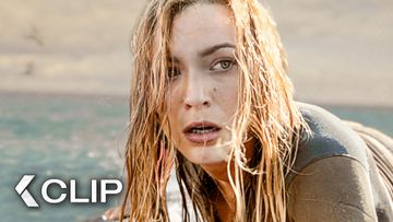 Image of Calm Waters Hide A Deadly Force - THE SHALLOWS