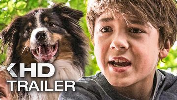 Bild zu FÜNF FREUNDE UND DAS TAL DER DINOSAURIER Teaser Trailer German Deutsch (2018)