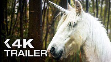 Bild zu DAS GEHEIMNIS DES EINHORNS Trailer German Deutsch (2025)
