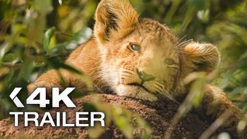 Bild zu LION Trailer (2026)