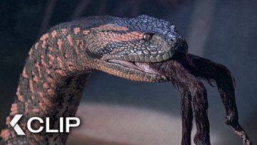 Image of The Anaconda Strikes and Swallows him Alive - ANACONDA Clip |  Jennifer Lopez
