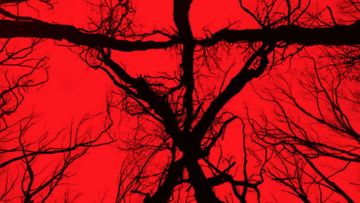 Image of Tomb Raider Series Update, The Mummy 4, The White Lotus, Blair Witch Project