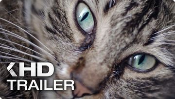 Bild zu KEDI: Von Katzen und Menschen Trailer German Deutsch (2017)