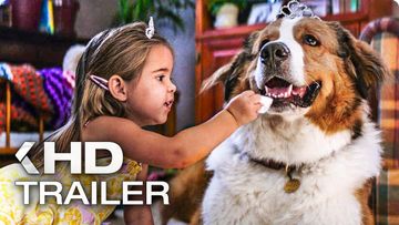 Bild zu BAILEY 2: Ein Hund kehrt zurück Trailer German Deutsch (2019)