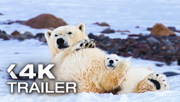 Bild zu FROST OHNE SCHNEE UND EIS Trailer German Deutsch (2026)