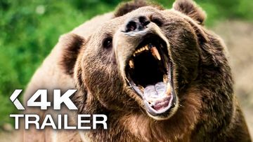 Image of GRIZZLY NIGHT Trailer (2026)