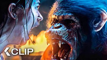 Bild zu Killeraffe auf blutiger Mission!