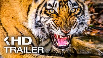 Bild zu DISNEYNATURE'S TIGER Trailer German Deutsch UT (2024)