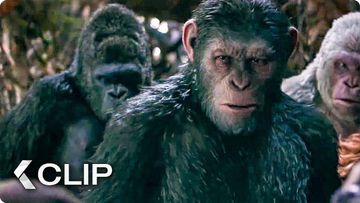 Bild zu I Did Not Start This War Movie Clip - War for the Planet of the Apes (2017)