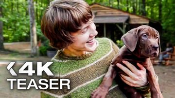Image of SCOOBY-DOO: ORIGINS Official Teaser Trailer (2027) Netflix