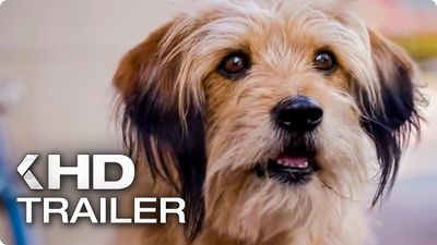 Benji 2018 2024 full movie