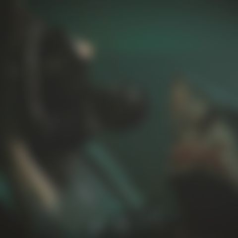 Image for Beast of War