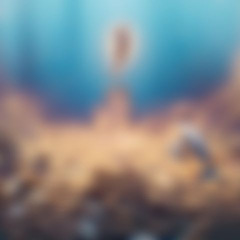 Image for Der letzte Walsänger