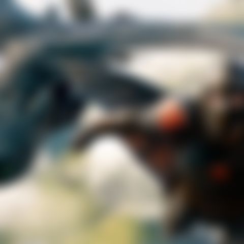 Image for Drachenzähmen leicht gemacht 2