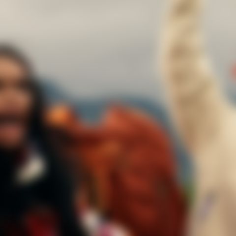 Image for The Summit