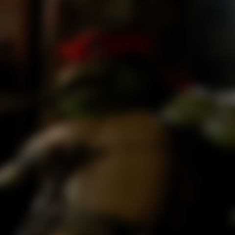 Image for Teenage Mutant Ninja Turtles