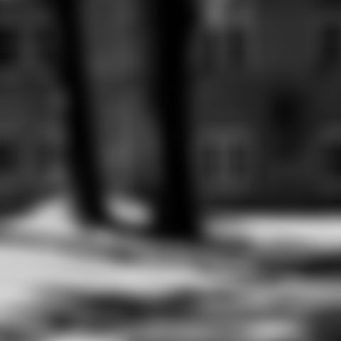 Image for Das Verschwinden des Josef Mengele