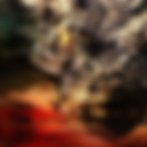 Image for Lake Placid