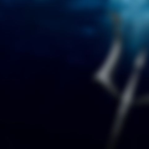 Image for Percy Jackson and the Olympians