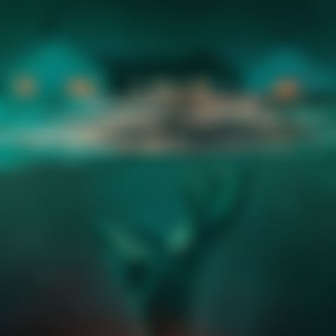 Image for The Drowned