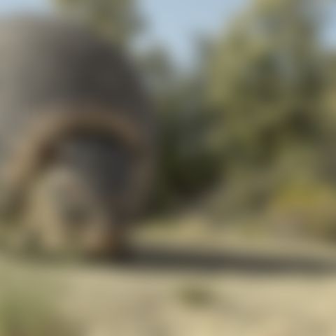 Image for Prehistoric Planet: Ice Age