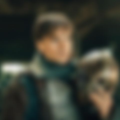 Image for The Sentinels