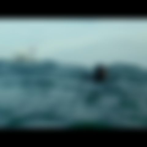 Image for Die Wilde Nordsee: Natur, die sich nicht zähmen lässt