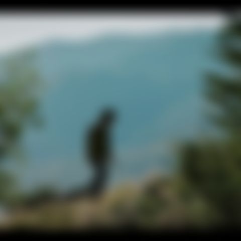 Image for Y: Marshals