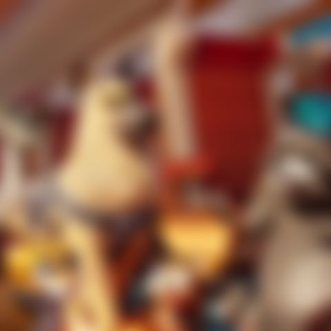 Image for Pets on a Train