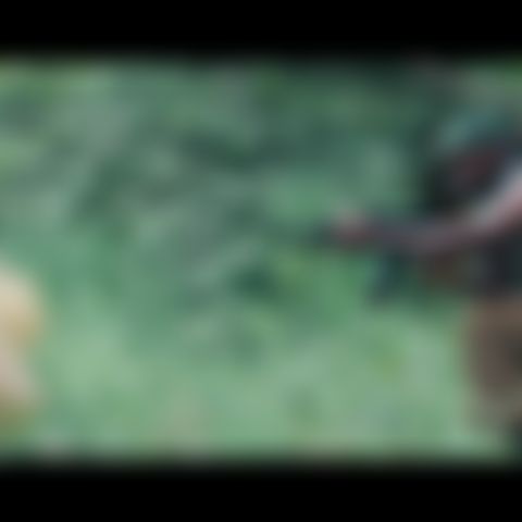 Image for Lost Horizon