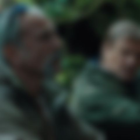 Image for Anemone