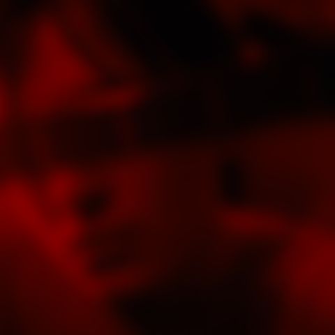 Image for Petrichor