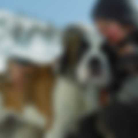 Image for Mein Freund Barry