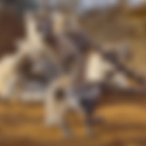 Image for Für die Wildnis geboren