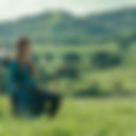 Image for The Legend of Zelda