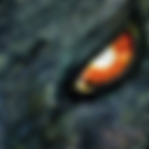Image for Godzilla