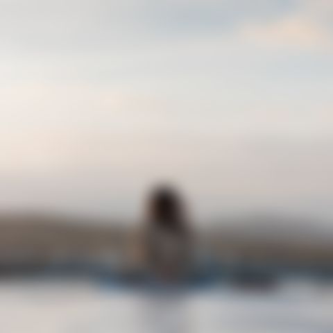 Image for Chaos und Stille